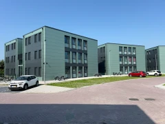 IMG 4102